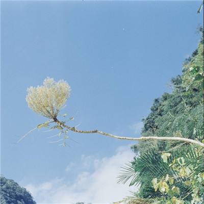 火柴人反恐模拟器手机版下载
